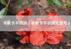 手机卡不识别（手机卡不识别无信号）