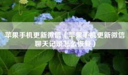 苹果手机更新微信（苹果手机更新微信聊天记录怎么恢复）