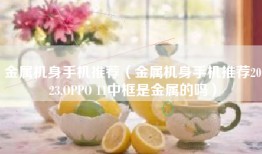 金属机身手机推荐（金属机身手机推荐2023,OPPO 11中框是金属的吗）