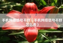 手机网络信号不好（手机网络信号不好怎么弄）