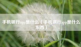 手机银行app是什么（手机银行app是什么东西）