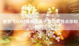 赛默飞FEI扫描电镜离子源功能特点你知道吗？