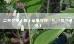 苹果寻找手机（苹果寻找手机位置准确吗）