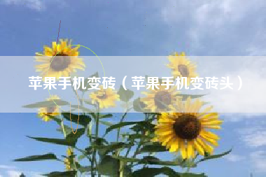 苹果手机变砖（苹果手机变砖头）