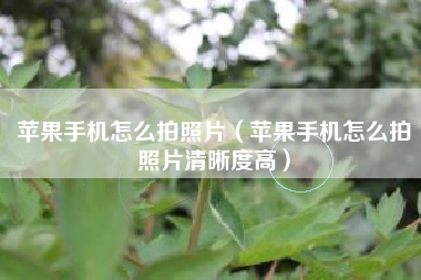 苹果手机怎么拍照片（苹果手机怎么拍照片清晰度高）