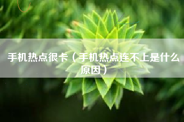 手机热点很卡（手机热点连不上是什么原因）