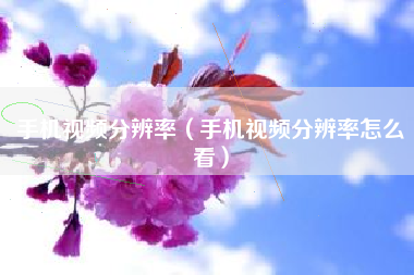 手机视频分辨率（手机视频分辨率怎么看）