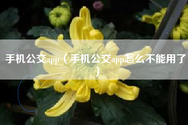 手机公交app（手机公交app怎么不能用了）